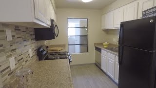 Vizcaya Hilltop Apartments Reno Nevada 1x1 Downstairs