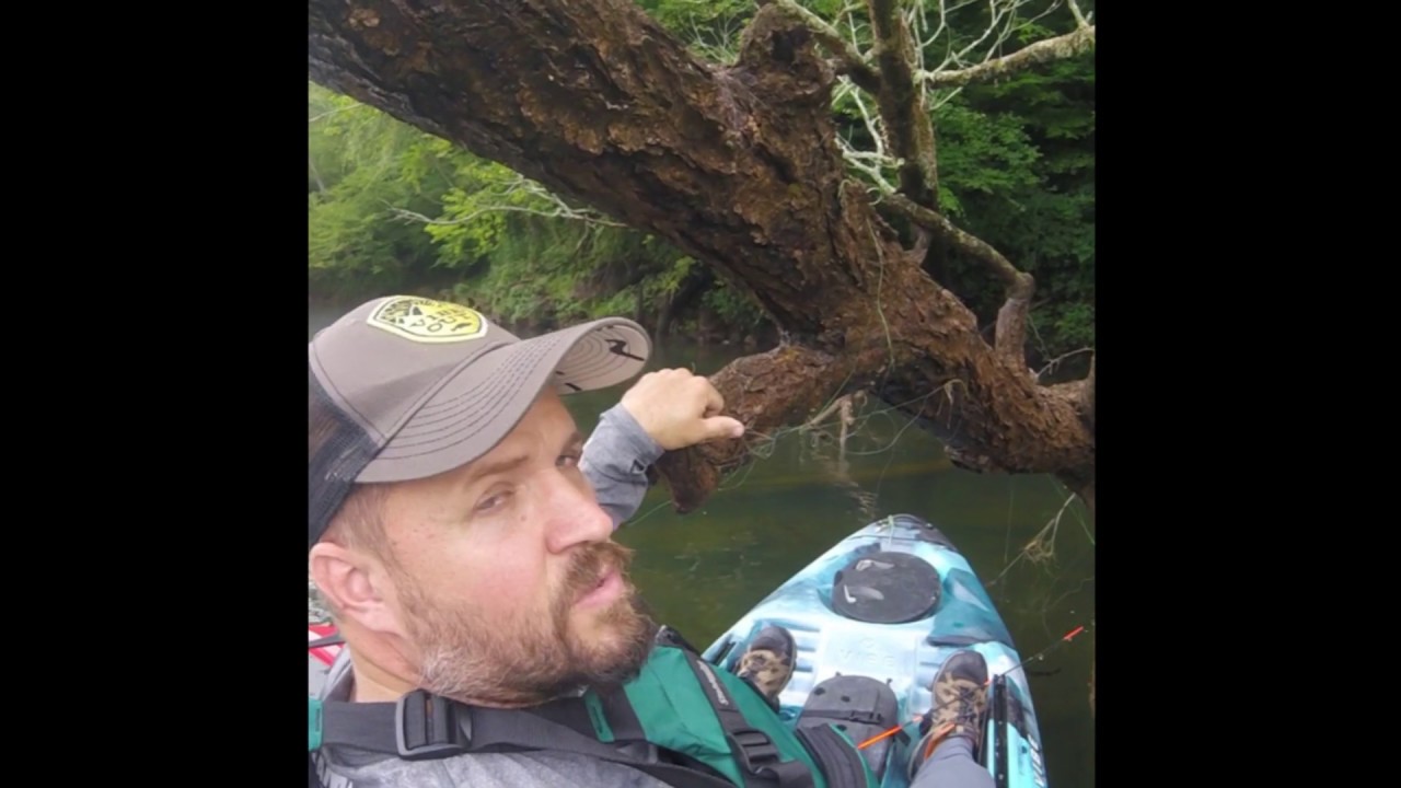 Kayak Fishing at Buford Dam. Catching Trout YouTube