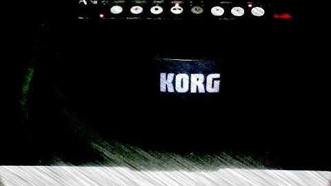 Korg Wavedrum Mini Looper