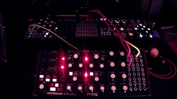 MOOG Subharmonicon + Make Noise Mimeophon - First Drone Ambient Patch