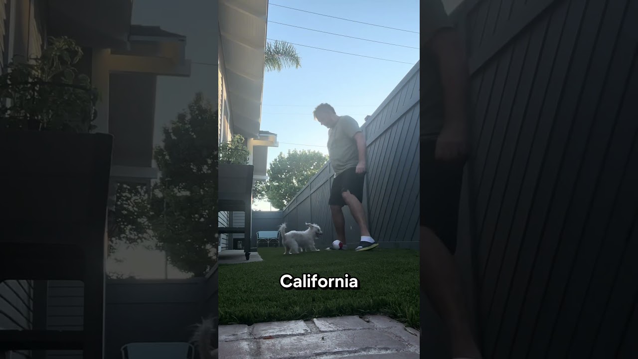 Just a comedian getting humbled by his dog! See me humbled by humans this weekend in San Jose