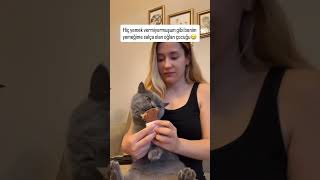 Sanki Mama Vermiyoruz Oğlan Çocuğu