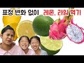 Mukbang Lemon Lime Dragon Fruit TwinRoozi 먹방 레몬 라임 용과 표정 변화 없이 쌍둥이루지