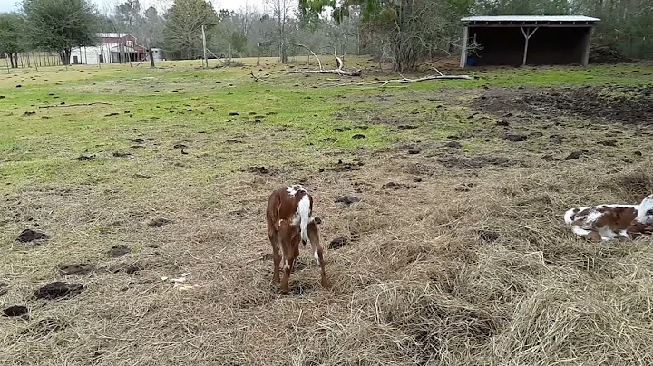 hey I wasn't born yesterday. wait, yes I was
