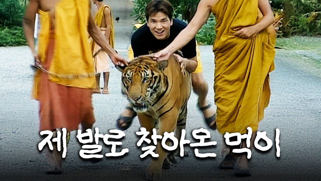 [🐕# 동물농장] 맹수인데… 그저 스님 앞에선 순한 고양이😽 #TV동물농장 #우와한비디오 #우와비