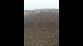Magic Drive Youtube Magic Drive Youtube