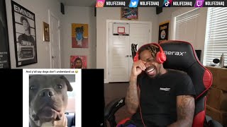 NoLifeShaq ATTEMPTS the TRY NOT TO LAUGH (Hood Edition)