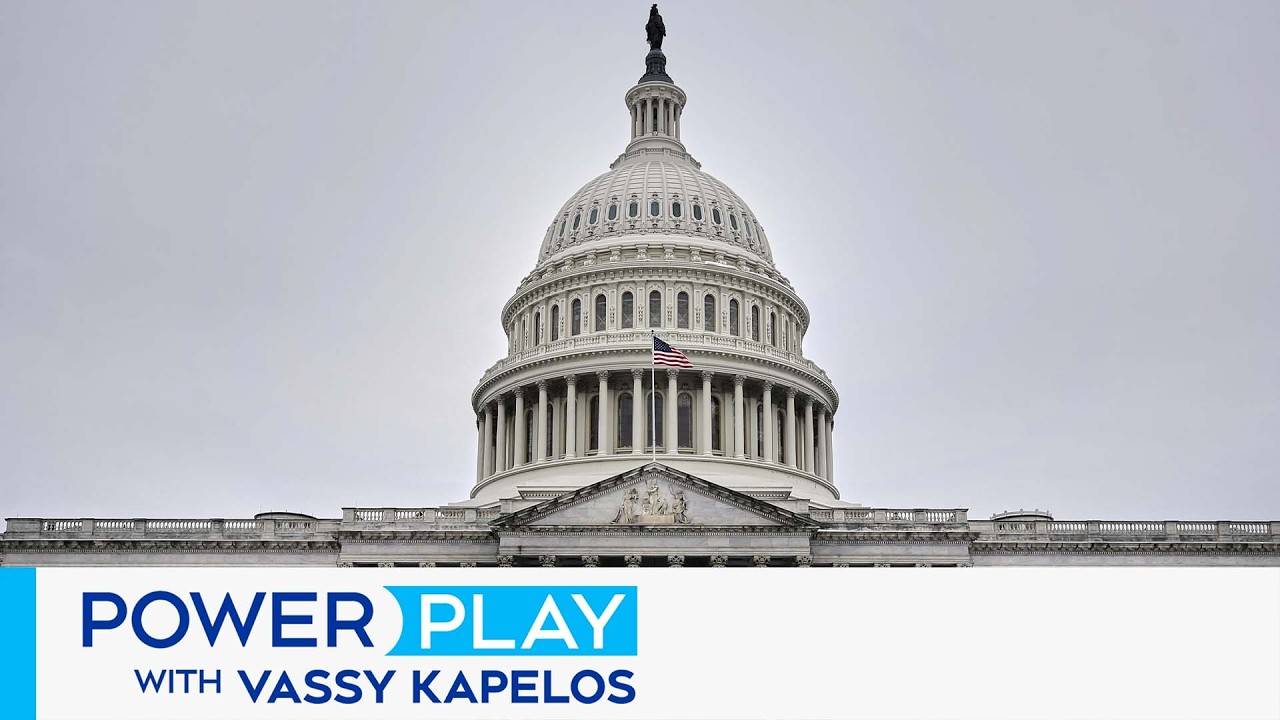 MP Jamil Jivani says Canadian officials having an 'anti-American hissy fit' over trade with the U.S.