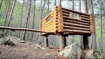 From Scratch: Bushcraft Treehouse for Ultimate Winter Survival