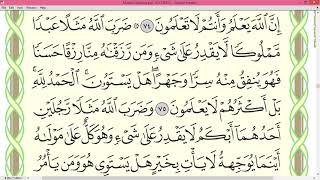 Ayman Suwayd Surah An Nahl page 275