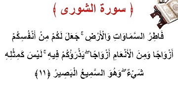 سورة الشورى الأية 11