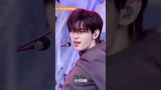 Bad Desire- Enhypen Kbs World Tv