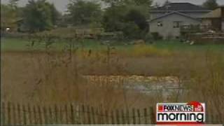 Live in the Morning Fox news at Bengtsons's Farm 2004