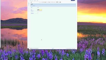SAP Security 101 User Types (ABAP).mov