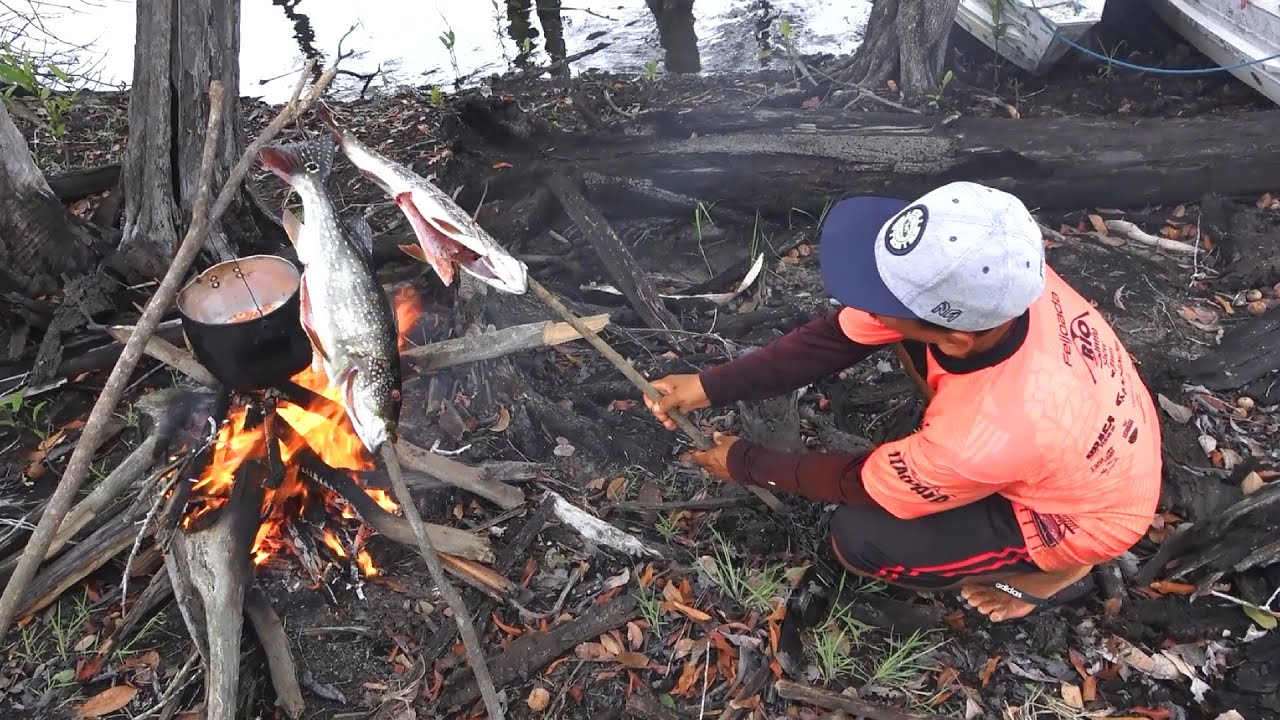 大アマゾン とある日の昼食 焚き火と焼き魚 Youtube 大アマゾン とある日の昼食 焚き火と焼き魚 Youtube