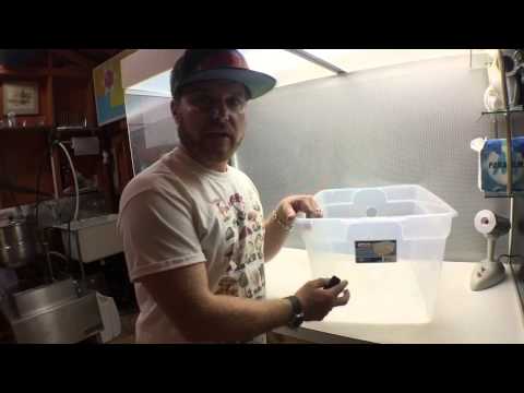 DIY How to make a mushroom monotub grow fresh fungi at home. Mycology at its finest! Magic of Fungi!