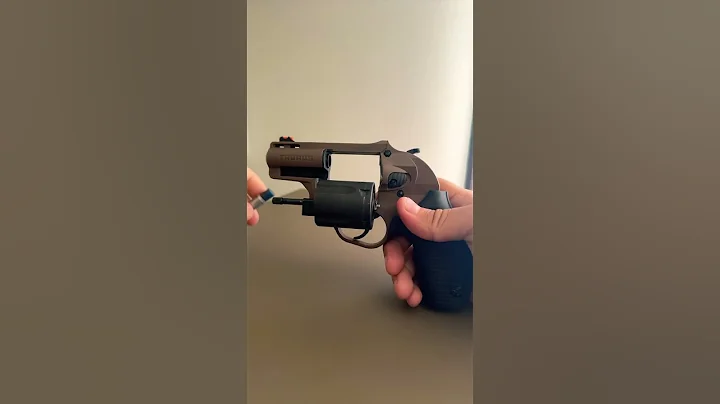 38 SPL/357 MAG snake shot