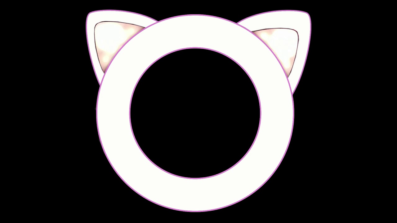 Kat oren lichte ring.