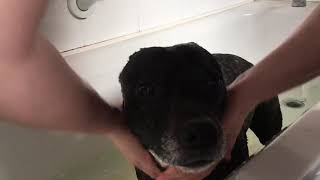 Carla And L Bathing Mylo