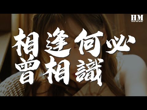 蒋志光  相逢何必曾相识『也许不必知道我是谁』【動態歌詞Lyrics】