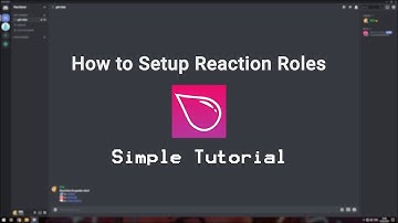 How to make Reaction Roles on Discord || Easy Method 2021