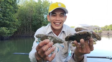 Thăm Lú 12 cửa ngục và cái kết...@ToanCaMauVlog