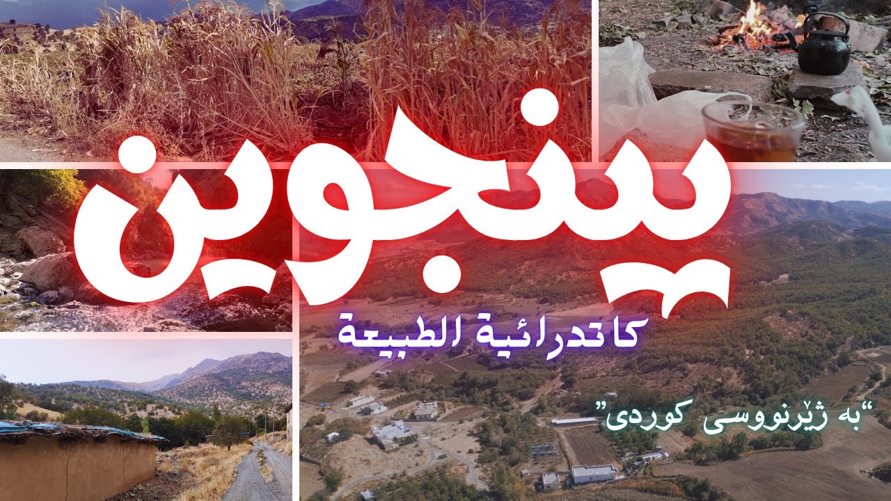 پينجوين| كاتدرائية الطبيعة