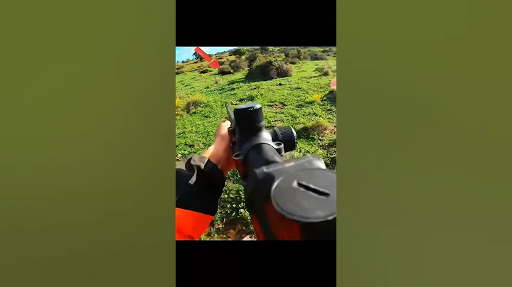 великолепный выстрел дикий кабан великолепная охота#challenge#hunting#wildboar#beautiful#shorts