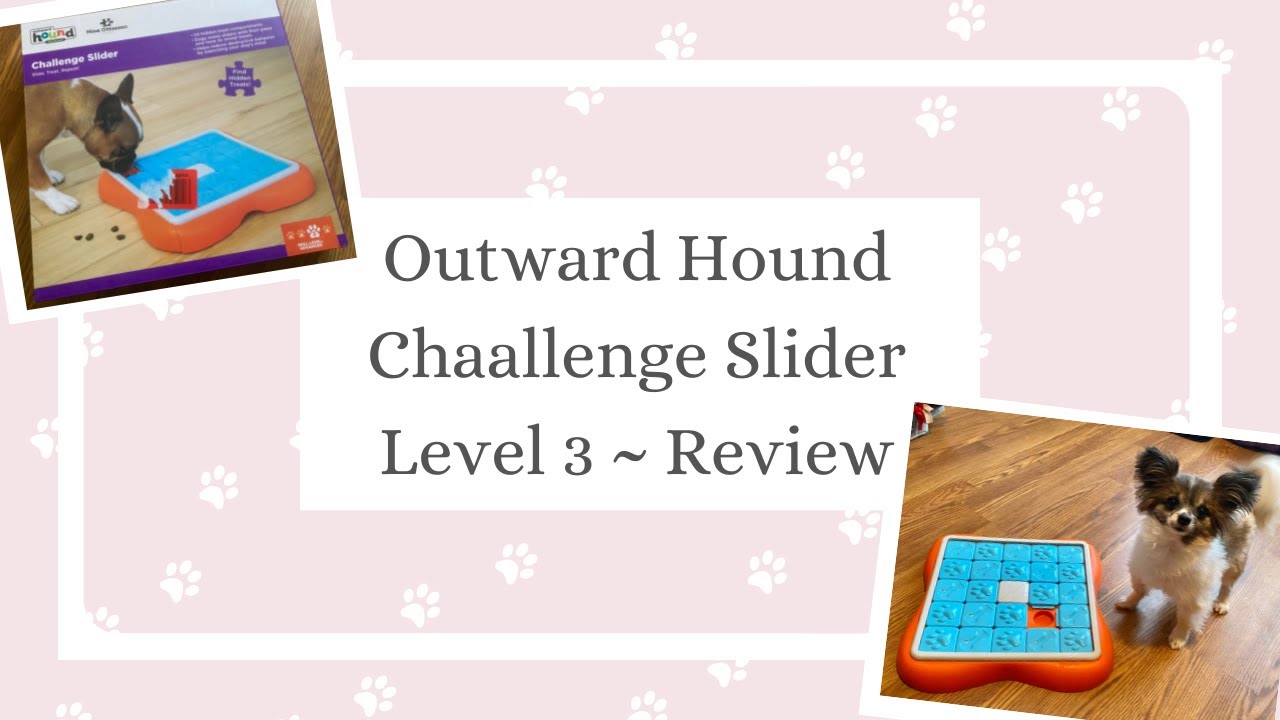 Outward Hound Challenge Slider Dog Puzzle Toy