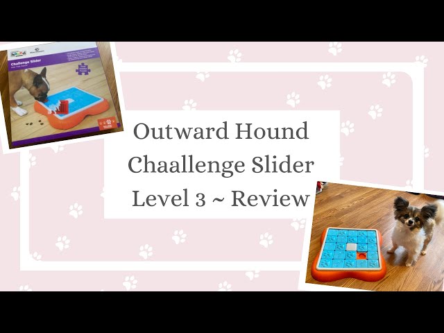 Outward Hound,Challenge Slider - Ren's Pets