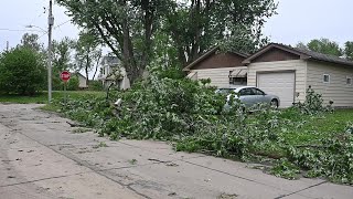 Video: Salix storm damage