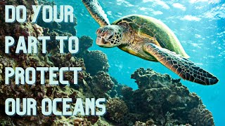 Video #11 - Do your part to protect our oceans!