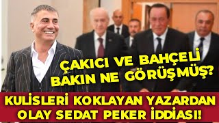Kulisleri Koklayan Yazardan Olay Sedat Peker Iddiası Alaattin Çakıcı Ve Bahçeli Bakın Ne Görüşmüş?