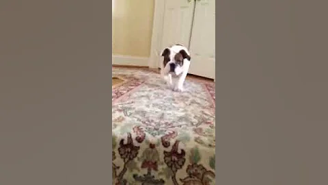 Leonidas attempts to climb down the staircases