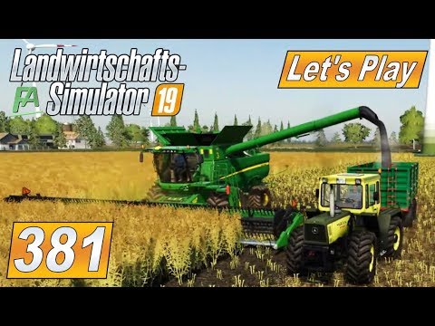 lets play a little game #LS19 #381 Das neue Raps Feld ernten #Landwirtschaft Farming Simulator 19 mod map NF Marsch