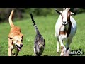 khubsurat video funny bahut khubsurat Sam bahut pyari video hai sab bandish mein a Jana