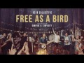 Free As A Bird Rend Collective Official Audio Free As A Bird Rend Collective Official Audio
