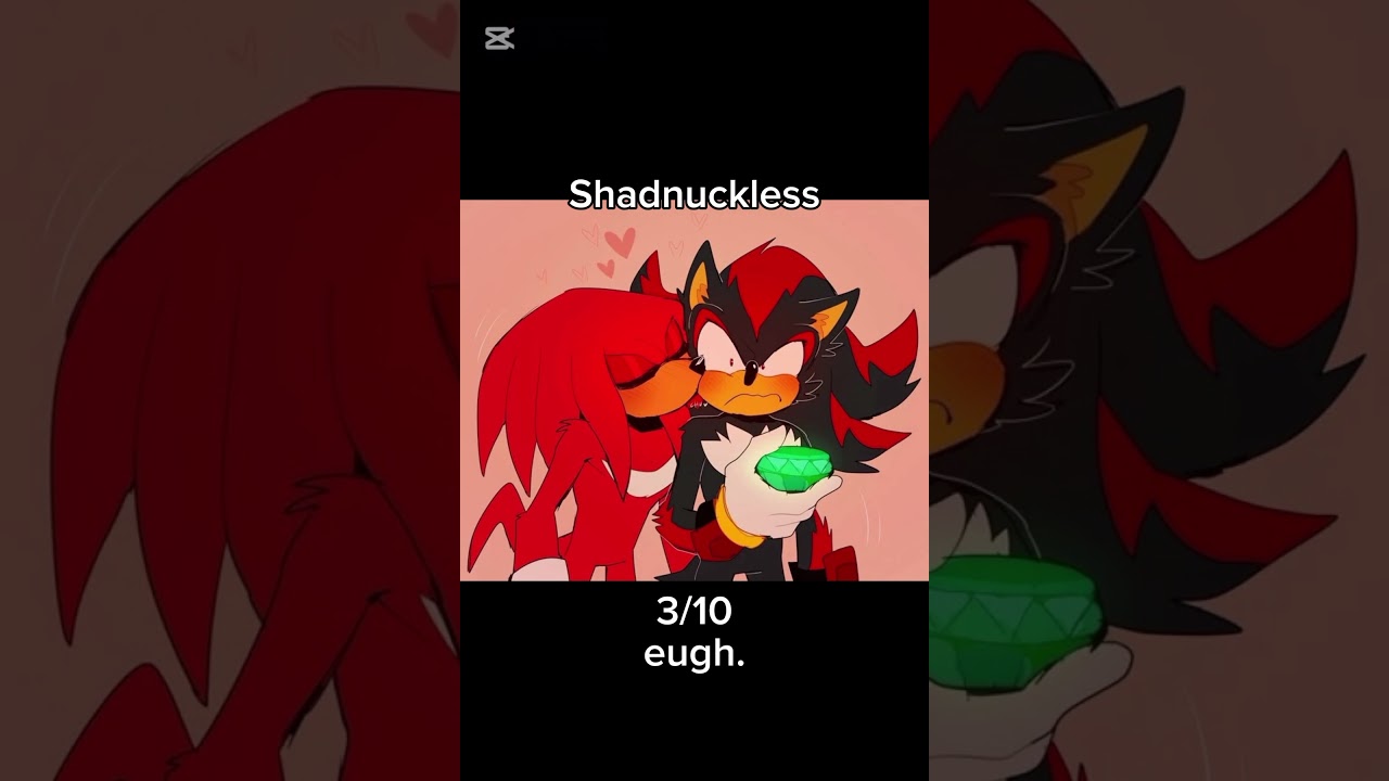 Rating sonic ships LAST PART ⚠️|THIS IS MY OPINION DO NOT HARRAS ME|⚠️ 