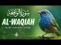 Best Relaxing Quran Surah Waqiah سورة الواقعة Amazing Voice Al Taqwa TV Best Relaxing Quran Surah Waqiah سورة الواقعة Amazing Voice Al Taqwa TV