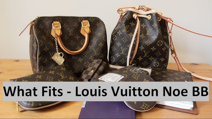 LV Nano Noe VS Gucci Mini Bucket VS Chanel Vanity Comparisons What Fits  WIMB #luxurypl38 #lvnanonoe 