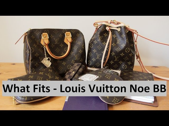 Louis Vuitton Noe BB vs Speedy 25