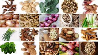 22 JENIS REMPAH-REMPAH KHAS INDONESIA || NAMA-NAMA BUMBU DAPUR