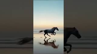 Stock Footages Video - Copyright