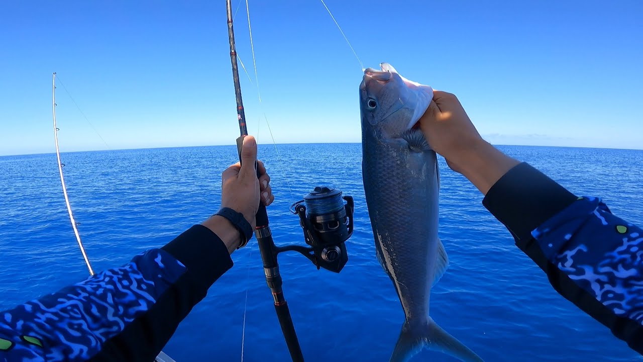 Leurre De Pêche 14 Pouces Cup Concave - Tête Marlin, Appât Pour Thon, Mahi, Wahoo