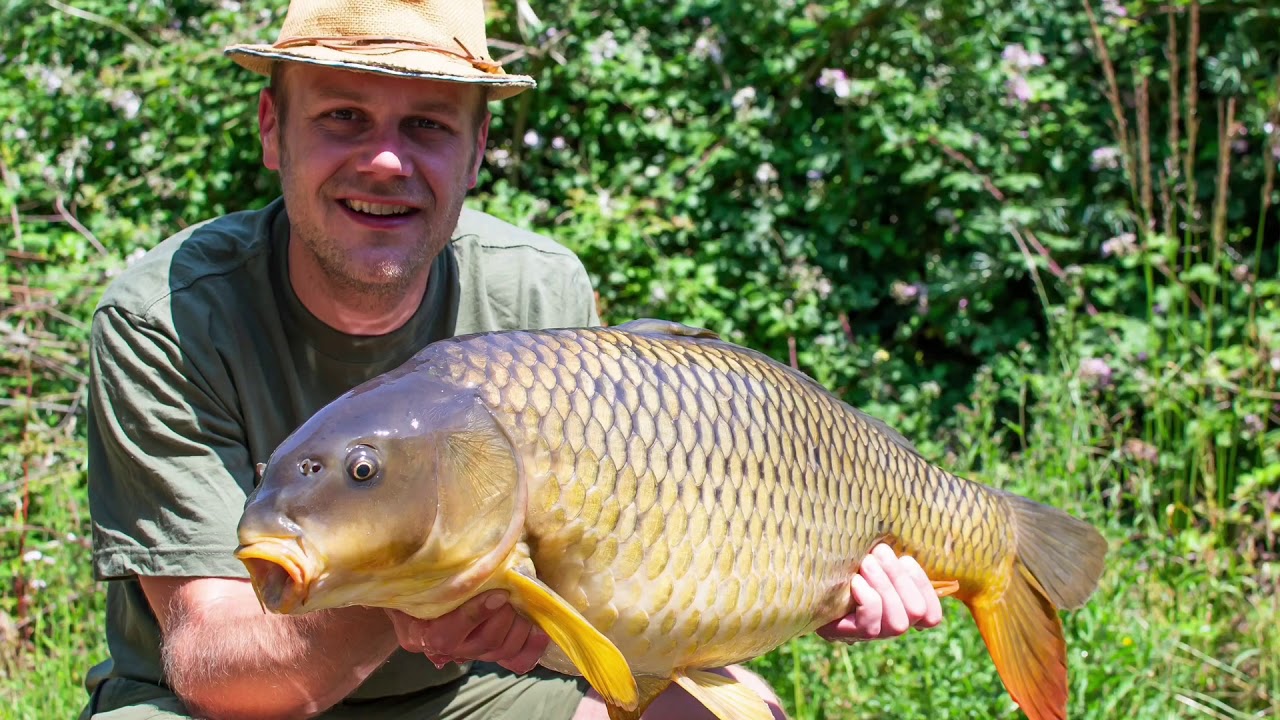Dan Ross Carp Fishing - Syndicate with Rod Hutchinson sceptre rods