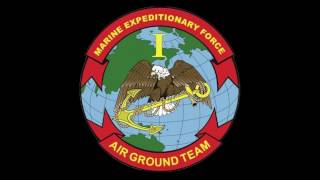 1st Air Naval Gunfire Liaison Company