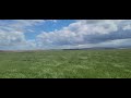 Emerald Waves of Green: Washington Wheat Fields | Walla Walla Agriculture