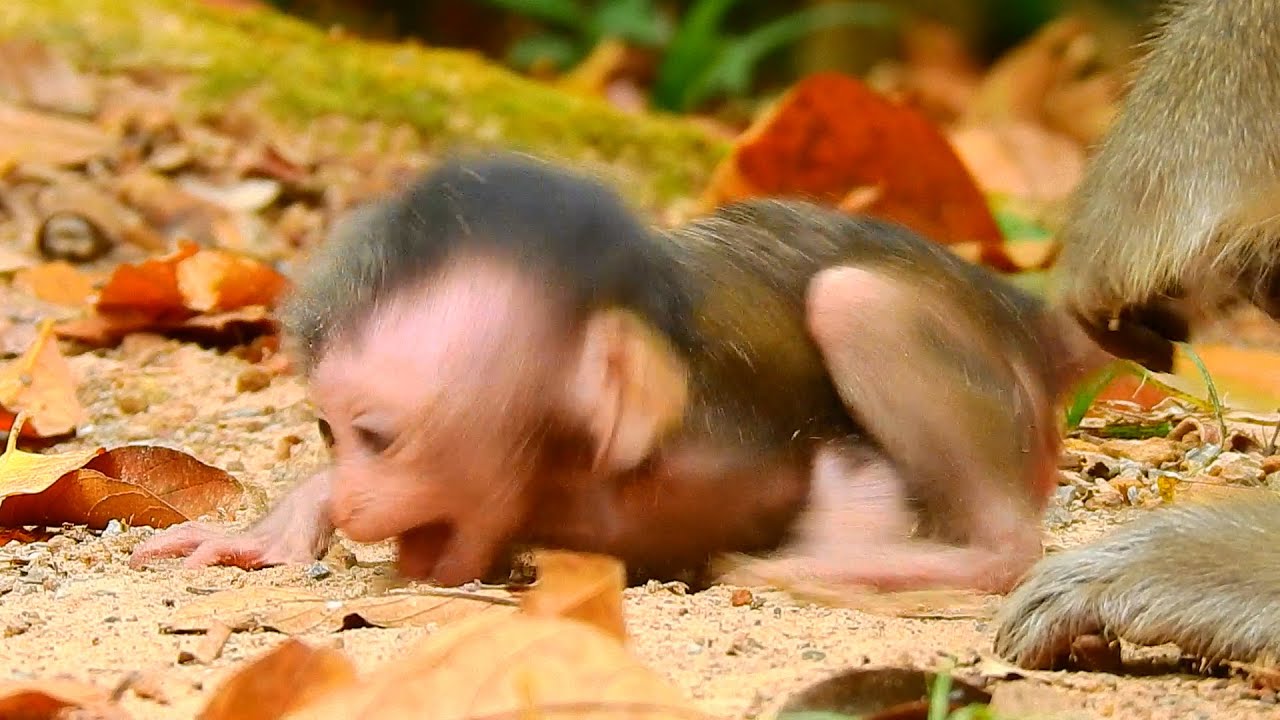 Are you ok?, Life Ariana as the same Anissa