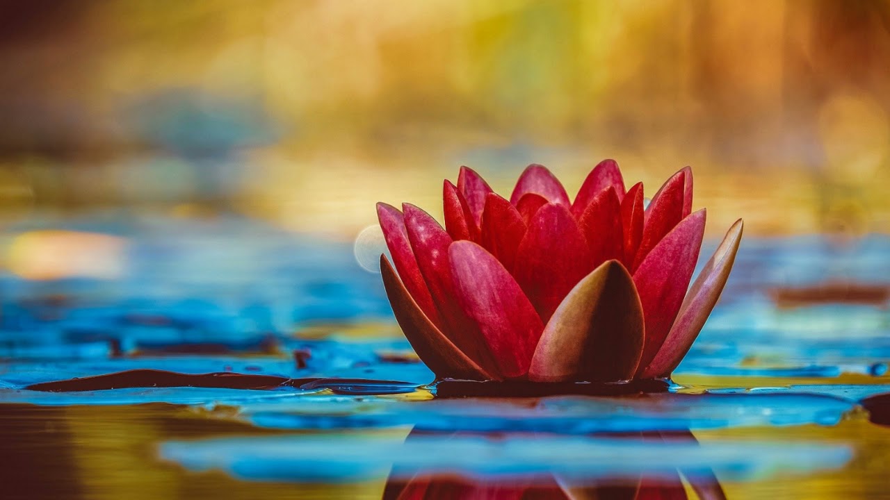 Finding inner you | Inner peace | Meditation music | boost concentration power