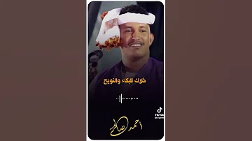 زولك الاخترتو انت حاله واتس ود دوبا 